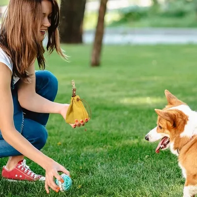 Zoomtopia Sac de rangement pour friandises canines