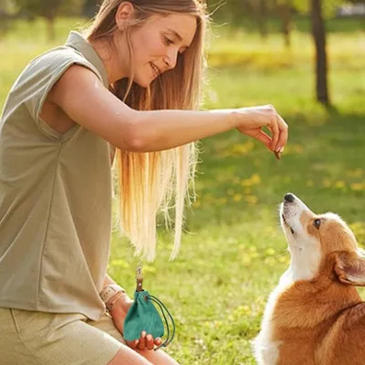 Zoomtopia Sac de rangement pour friandises canines