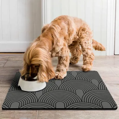 Zoomtopia Tapis d'alimentation pour animaux de compagnie