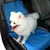 Pawzy Housse de siège auto pour chien
