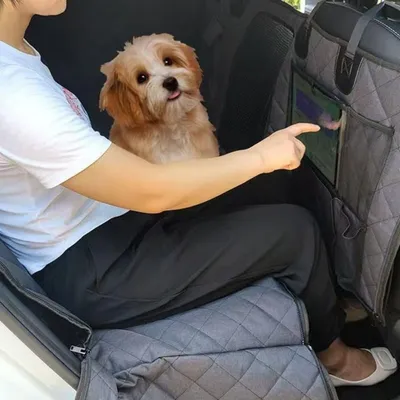 ZooVenture Housse de siège pour chien