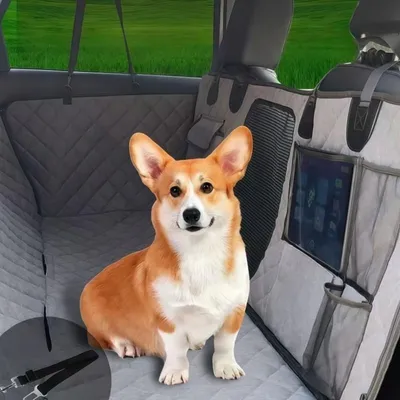 ZooVenture Housse de siège pour chien