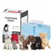 FurryFusion Coussin urinaire pour animaux
