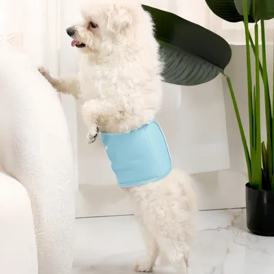 FurryFusion Culottes hygiéniques pour chiens