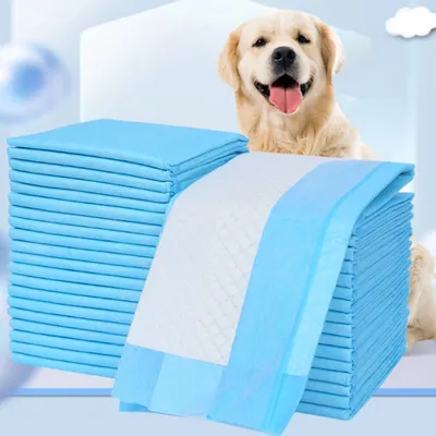 Zoomtopia Matelas à langer pour chien