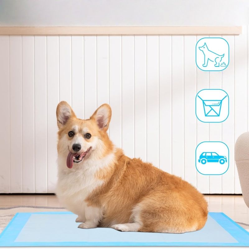 Zoomtopia Matelas à langer pour chien