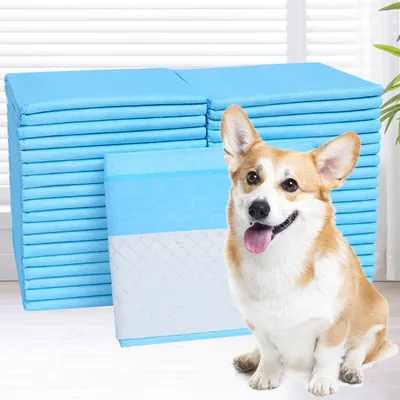 Zoomtopia Matelas à langer pour chien