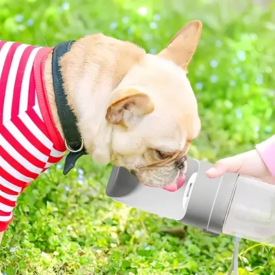 Zoomtopia Bouteille d'eau de voyage pour chien