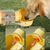 Pawzy Bouteille d'eau portable pour chien