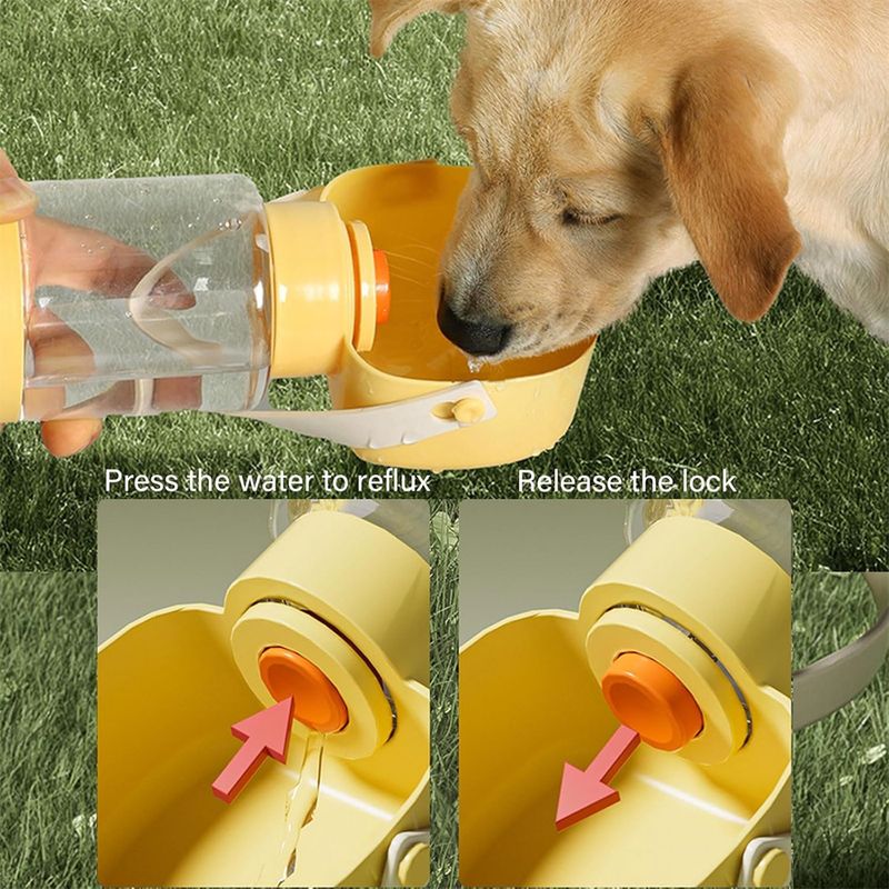 Pawzy Bouteille d'eau portable pour chien