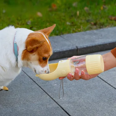 Zoomtopia Bouteille d'eau pour chien