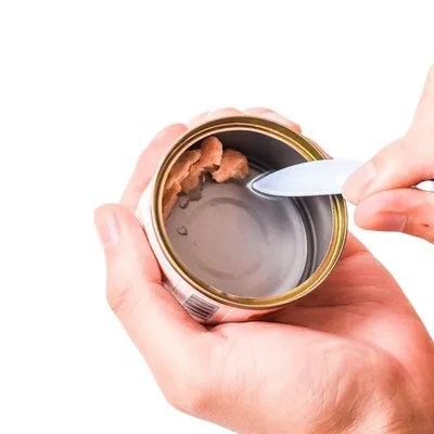 Zoomtopia Couverture de silicone pour nourriture d'animaux de compagnie