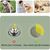 Zoomtopia  Gamelle pour chien slow food