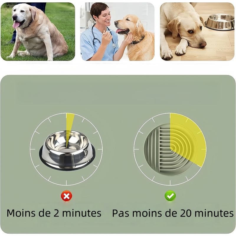 Zoomtopia  Gamelle pour chien slow food