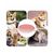 Zoomtopia Sac à friandises universel pour chien