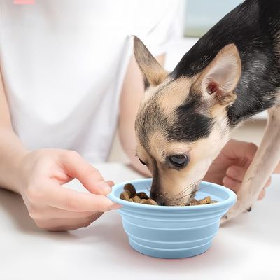 Pawzy Gamelle de voyage pliable pour chats et chiens