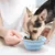 Pawzy Gamelle de voyage pliable pour chats et chiens