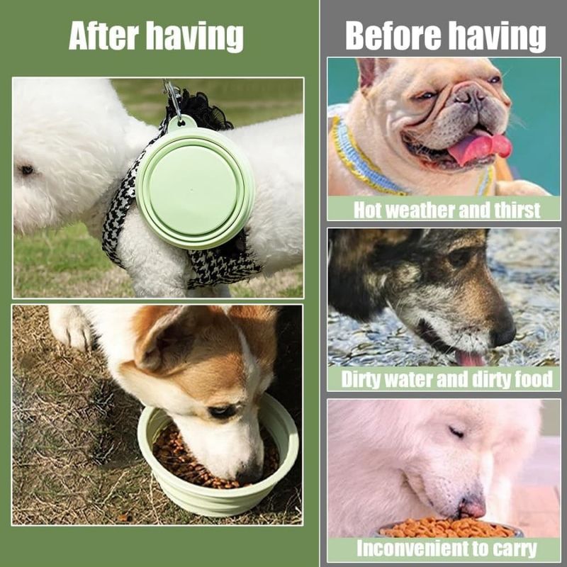 Pawzy Gamelle de voyage pliable pour chats et chiens