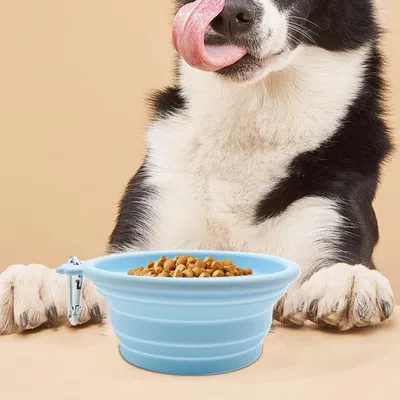Pawzy Comedero plegable de viaje para gatos y perros