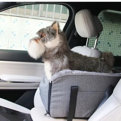Zoomtopia Siège de voiture pour chien dans console centrale