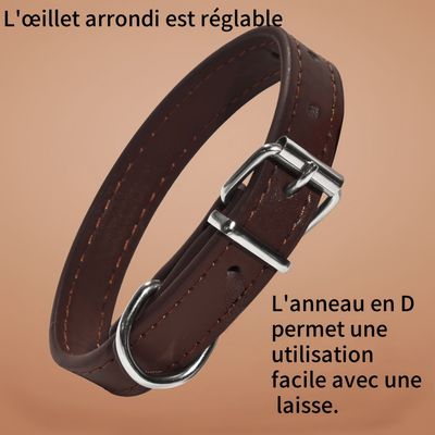 Pawzy Colliers adaptés aux petits chiens et aux chats Brun foncé