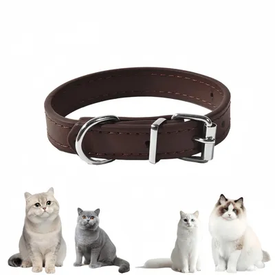 Pawzy Colliers adaptés aux petits chiens et aux chats Brun foncé