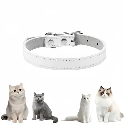 Pawzy Colliers adaptés aux petits chiens et aux chats Blanc