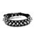 FurryFusion Collier à pointes pour chien