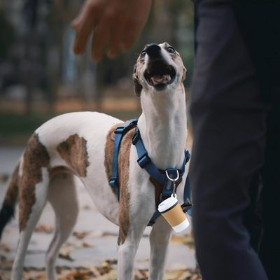 Pawzy Porte-sacs déjections canines - portable