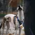 Pawzy Porte-sacs déjections canines - portable