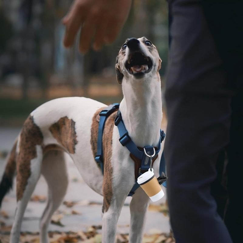 Pawzy Porte-sacs déjections canines - portable