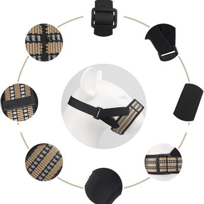 Pawzy Muselière pour chien