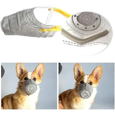 ZooVenture Masque respiratoire pour chiens