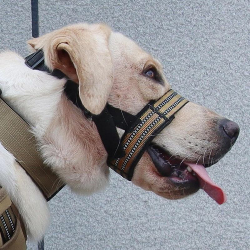 Pawzy Muselière pour chien