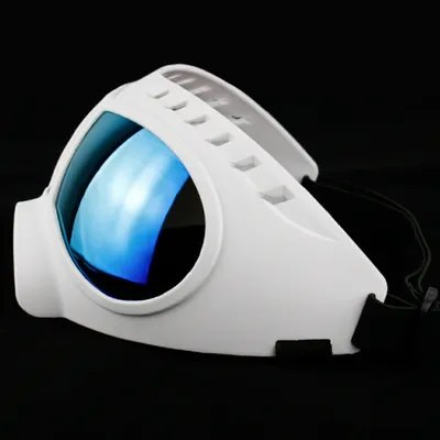 Zoomtopia Lunettes de soleil pour chien