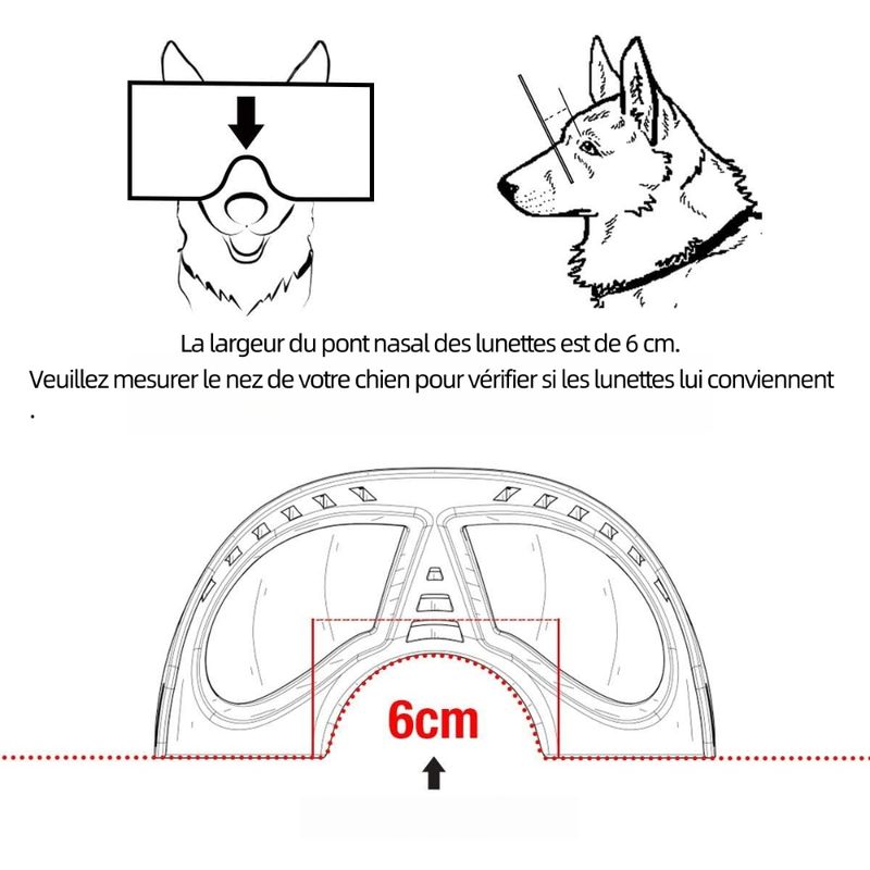 Zoomtopia Lunettes de soleil pour chien