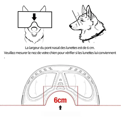 Zoomtopia Lunettes de soleil pour chien