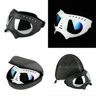 Zoomtopia Lunettes de soleil pour chien