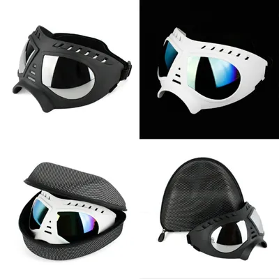 Zoomtopia Lunettes de soleil pour chien