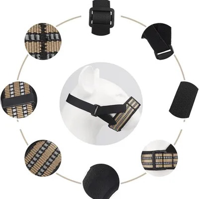 Pawzy Muselière pour chien