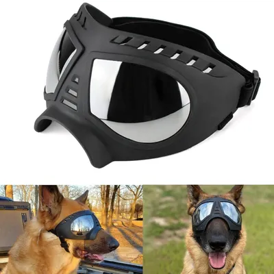 Zoomtopia Lunettes de soleil pour chien