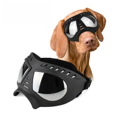 Zoomtopia Sonnenbrille für Hunde