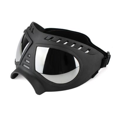 Zoomtopia Lunettes de soleil pour chien
