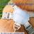 Pawzy Harnais pour chien，Convient aux chiens Taille S
