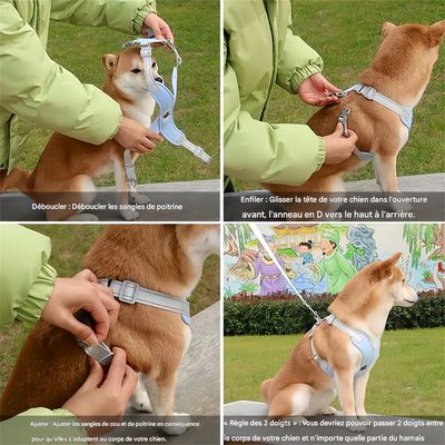 Pawzy Harnais pour chien，Convient aux chiens Taille S