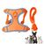 Pawzy Harnachement en style gilet pour chien