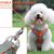 Pawzy Harnachement en style gilet pour chien