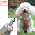 Pawzy Harnachement en style gilet pour chien