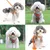 Pawzy Harnachement en style gilet pour chien