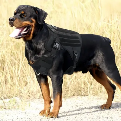 FurryFusion Arnés táctico para perros